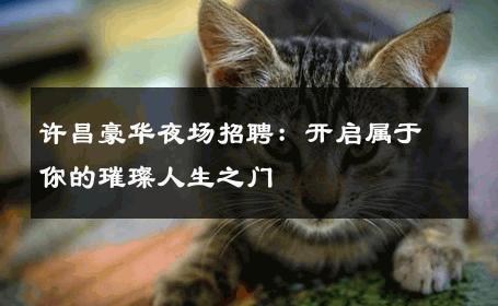 许昌豪华夜场招聘：开启属于你的璀璨人生之门