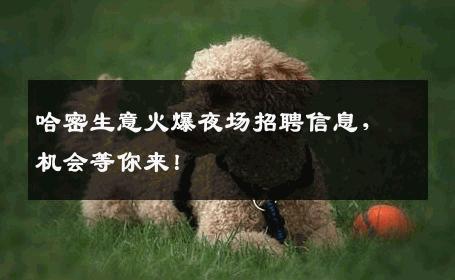 哈密生意火爆夜场招聘信息，机会等你来！