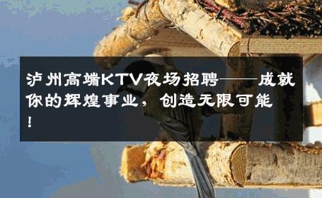 泸州高端KTV夜场招聘——成就你的辉煌事业，创造无限可能！