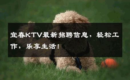 宜春KTV最新招聘信息，轻松工作，乐享生活！