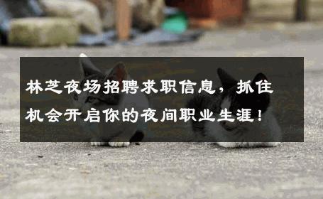 林芝夜场招聘求职信息，抓住机会开启你的夜间职业生涯！