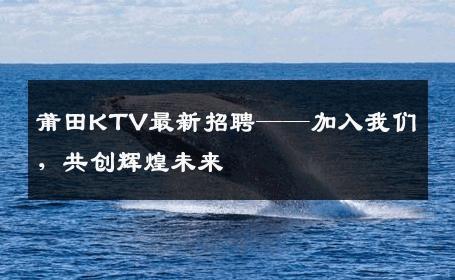 莆田KTV最新招聘——加入我们，共创辉煌未来
