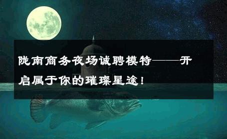 陇南商务夜场诚聘模特——开启属于你的璀璨星途！