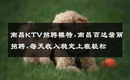 南昌KTV招聘模特,南昌百达翡丽招聘,每天收入稳定上班轻松