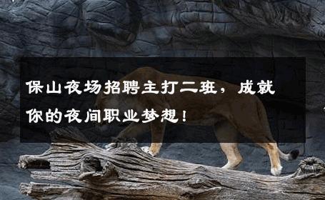 保山夜场招聘主打二班，成就你的夜间职业梦想！