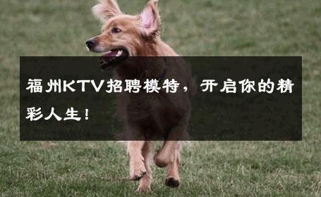 福州KTV招聘模特，开启你的精彩人生！