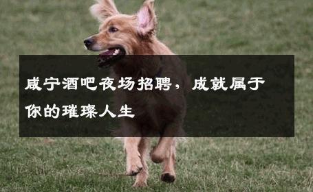 咸宁酒吧夜场招聘，成就属于你的璀璨人生