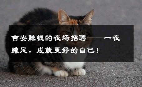 吉安赚钱的夜场招聘——一夜赚足，成就更好的自己！