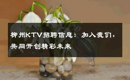 柳州KTV招聘信息：加入我们，共同开创精彩未来
