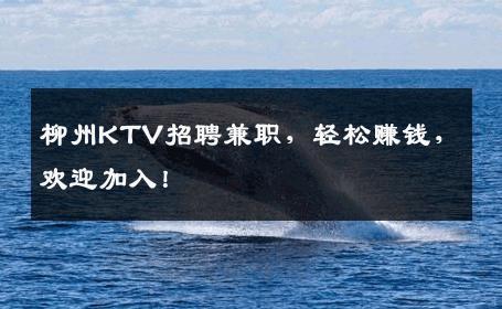 柳州KTV招聘兼职，轻松赚钱，欢迎加入！