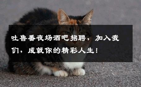 吐鲁番夜场酒吧招聘，加入我们，成就你的精彩人生！