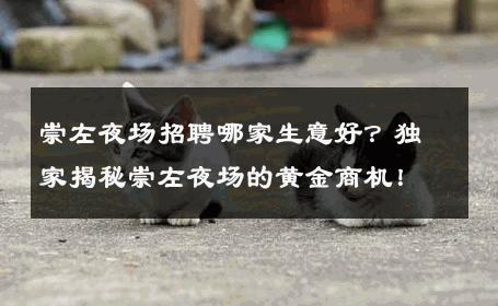 崇左夜场招聘哪家生意好？独家揭秘崇左夜场的黄金商机！
