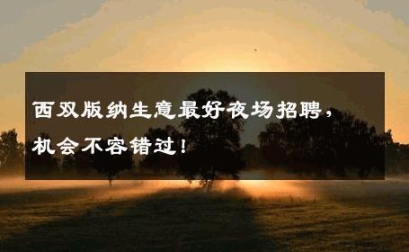 西双版纳生意最好夜场招聘，机会不容错过！