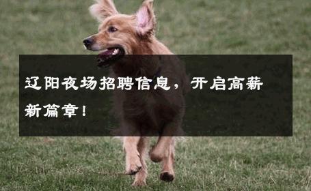 辽阳夜场招聘信息，开启高薪新篇章！
