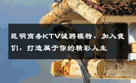 昆明商务KTV诚聘模特，加入我们，打造属于你的精彩人生