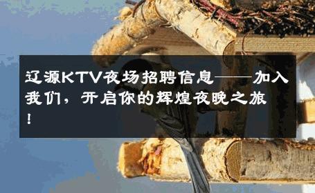 辽源KTV夜场招聘信息——加入我们，开启你的辉煌夜晚之旅！