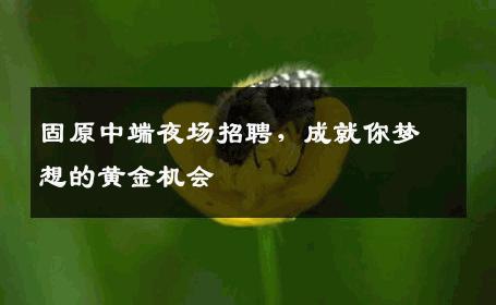 固原中端夜场招聘，成就你梦想的黄金机会