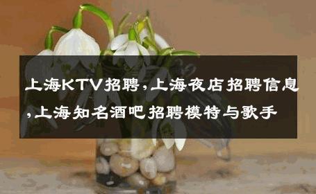 上海KTV招聘,上海夜店招聘信息,上海知名酒吧招聘模特与歌手