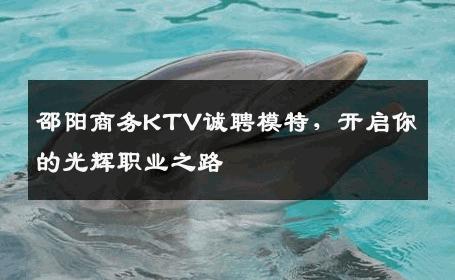 邵阳商务KTV诚聘模特，开启你的光辉职业之路