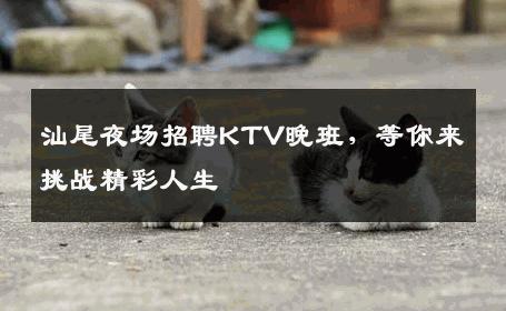 汕尾夜场招聘KTV晚班，等你来挑战精彩人生