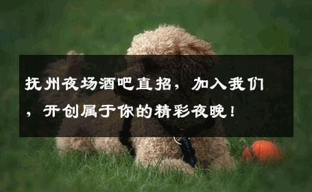 抚州夜场酒吧直招，加入我们，开创属于你的精彩夜晚！