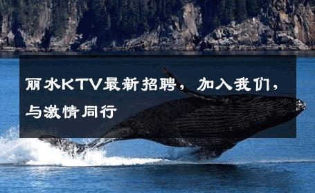 丽水KTV最新招聘，加入我们，与激情同行
