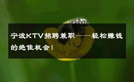 宁波KTV招聘兼职——轻松赚钱的绝佳机会！