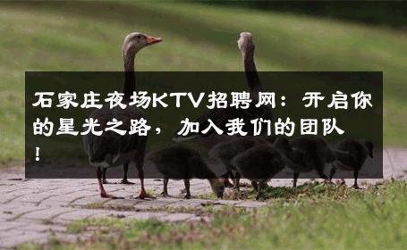 石家庄夜场KTV招聘网：开启你的星光之路，加入我们的团队！