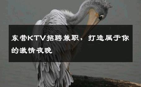 东营KTV招聘兼职，打造属于你的激情夜晚