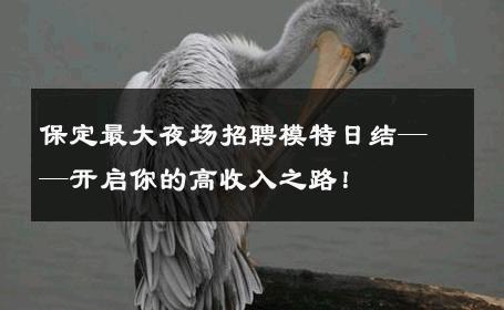 保定最大夜场招聘模特日结——开启你的高收入之路！