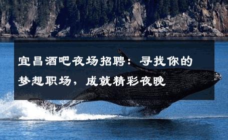宜昌酒吧夜场招聘：寻找你的梦想职场，成就精彩夜晚