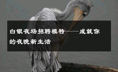 白银夜场招聘模特——成就你的夜晚新生活
