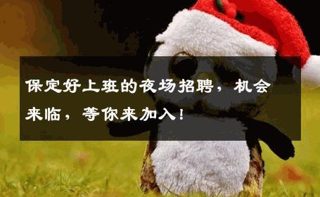 保定好上班的夜场招聘，机会来临，等你来加入！