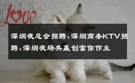 深圳夜总会招聘,深圳商务KTV招聘,深圳夜场共赢创富你作主