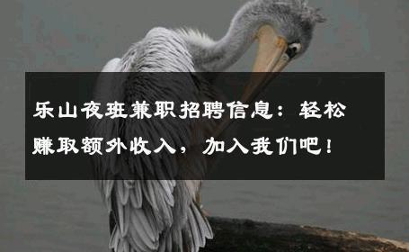 乐山夜班兼职招聘信息：轻松赚取额外收入，加入我们吧！