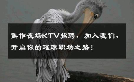 焦作夜场KTV招聘，加入我们，开启你的璀璨职场之路！