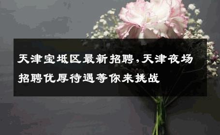 天津宝坻区最新招聘,天津夜场招聘优厚待遇等你来挑战