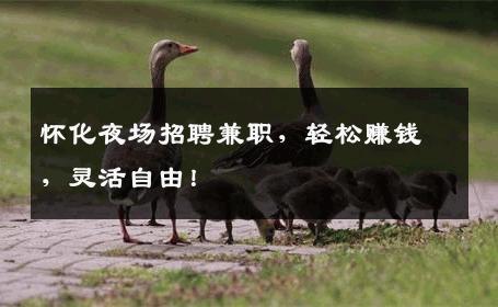 怀化夜场招聘兼职，轻松赚钱，灵活自由！