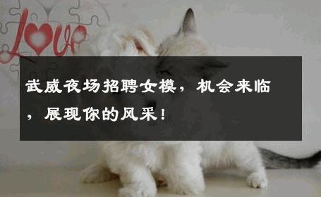 武威夜场招聘女模，机会来临，展现你的风采！