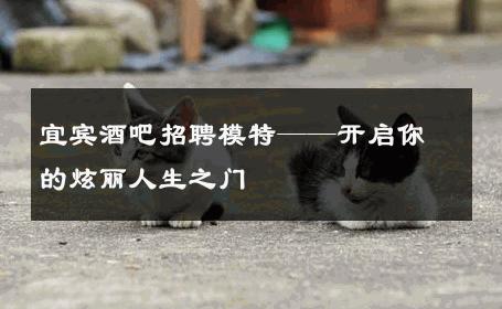 宜宾酒吧招聘模特——开启你的炫丽人生之门