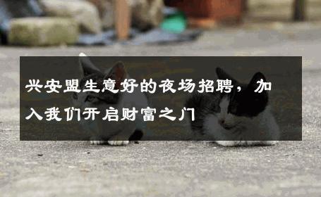兴安盟生意好的夜场招聘，加入我们开启财富之门