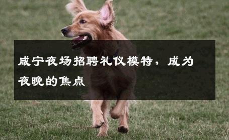 咸宁夜场招聘礼仪模特，成为夜晚的焦点