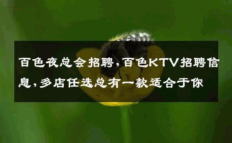 百色夜总会招聘,百色KTV招聘信息,多店任选总有一款适合于你