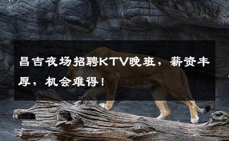 昌吉夜场招聘KTV晚班，薪资丰厚，机会难得！
