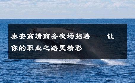 泰安高端商务夜场招聘——让你的职业之路更精彩