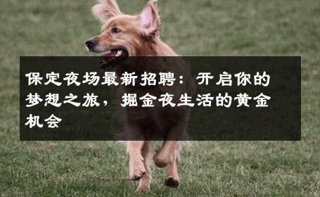 保定夜场最新招聘：开启你的梦想之旅，掘金夜生活的黄金机会