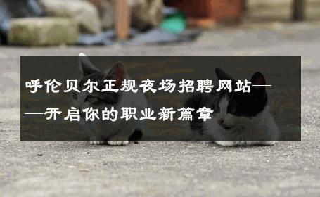 呼伦贝尔正规夜场招聘网站——开启你的职业新篇章