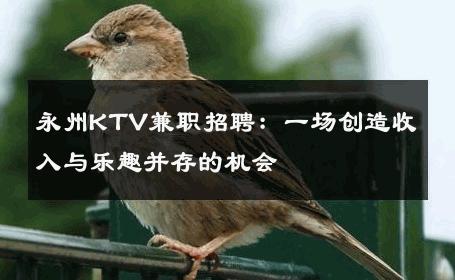 永州KTV兼职招聘：一场创造收入与乐趣并存的机会