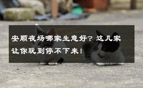 安顺夜场哪家生意好？这几家让你玩到停不下来！