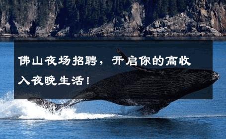 佛山夜场招聘，开启你的高收入夜晚生活！